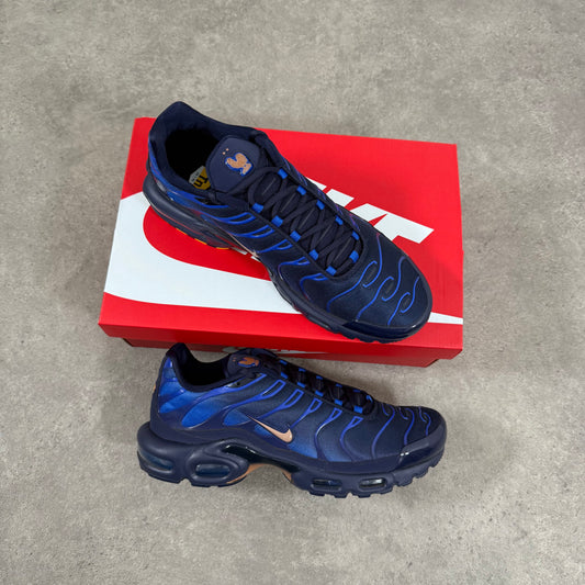 NIKE AIR MAX PLUS OG (FRANCE FOOTBALL)